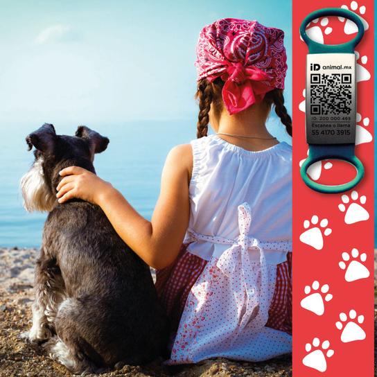 Pet Care Oro